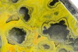 Very Vibrant, Polished Bumblebee Jasper #358603-1